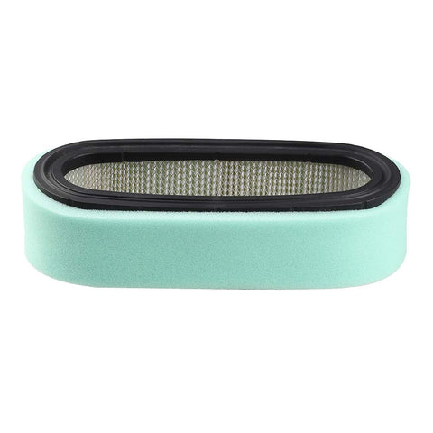 Powtol 394358 fuel filter included for clean fuel delivery.
