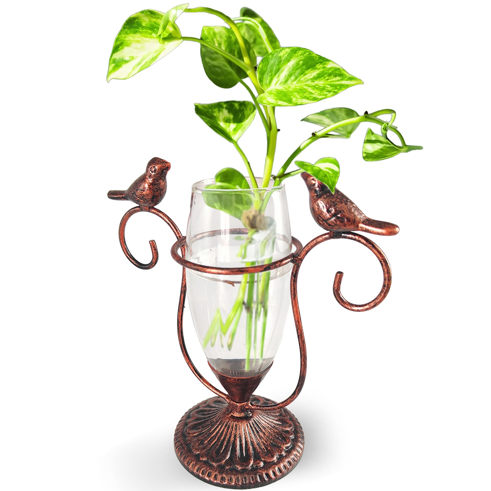 POXOHO vintage glass propagation station with copper bird close-up watching roots grow