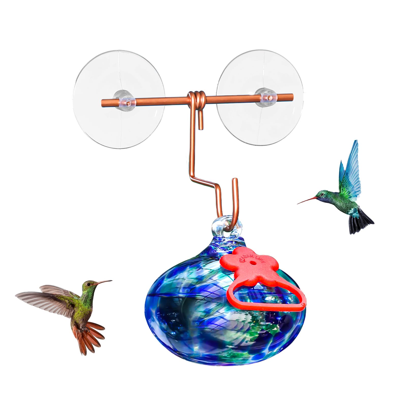 Pozfun window hummingbird feeder with suction cups enables close indoors viewing.