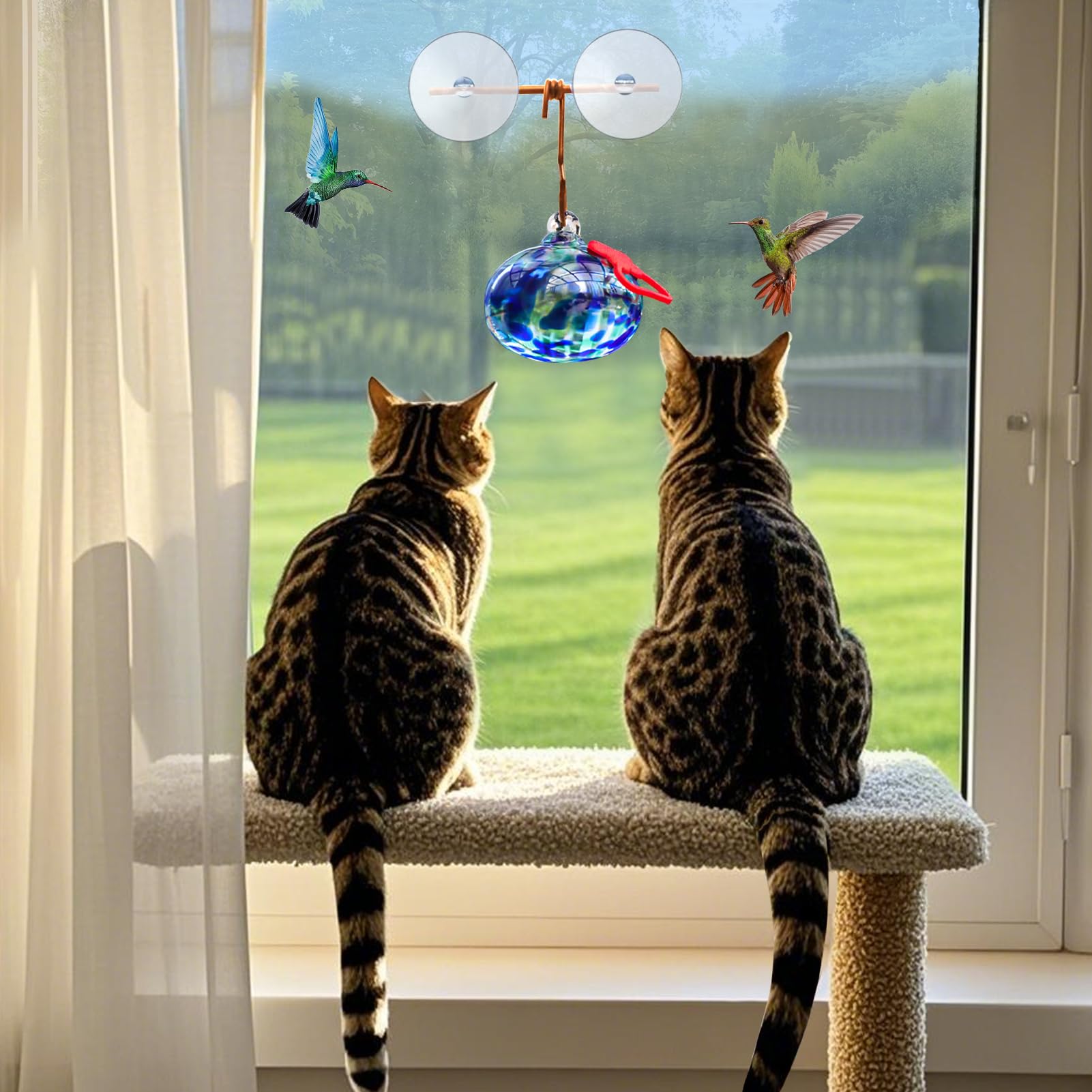 Pozfun window-mounted design supports easy bird watching from kitchen or living room.