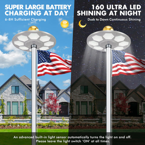 PPQ solar panel array with 99 cells powering efficient flagpole lighting.