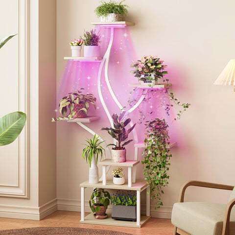 PRAISUN 3-light-modes-full-spectrum-setup supports different growth stages.