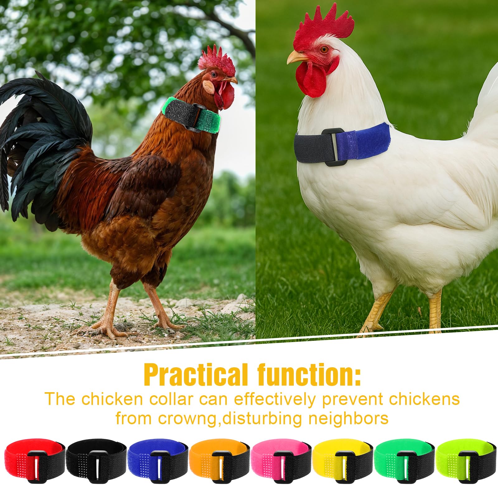 Prasacco No Crow Collar supports farm management and organization.