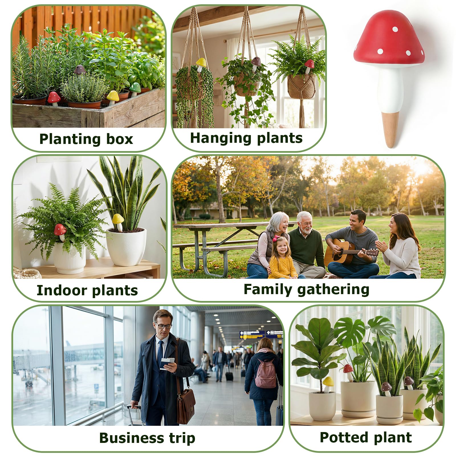 Prashent 8-pack plant irrigation spikes offers scalable care for multiple planters.