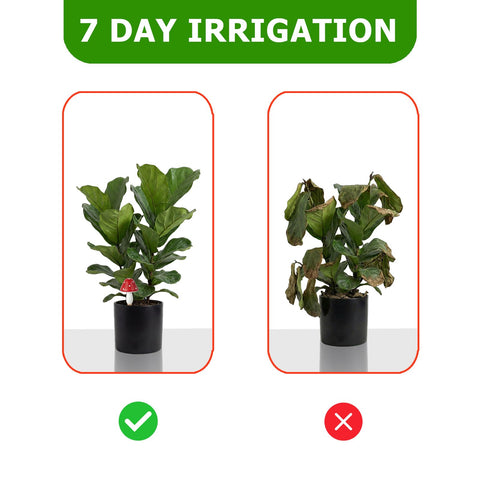 Prashent indoor-outdoor irrigation in pots shows versatile use for various plants.