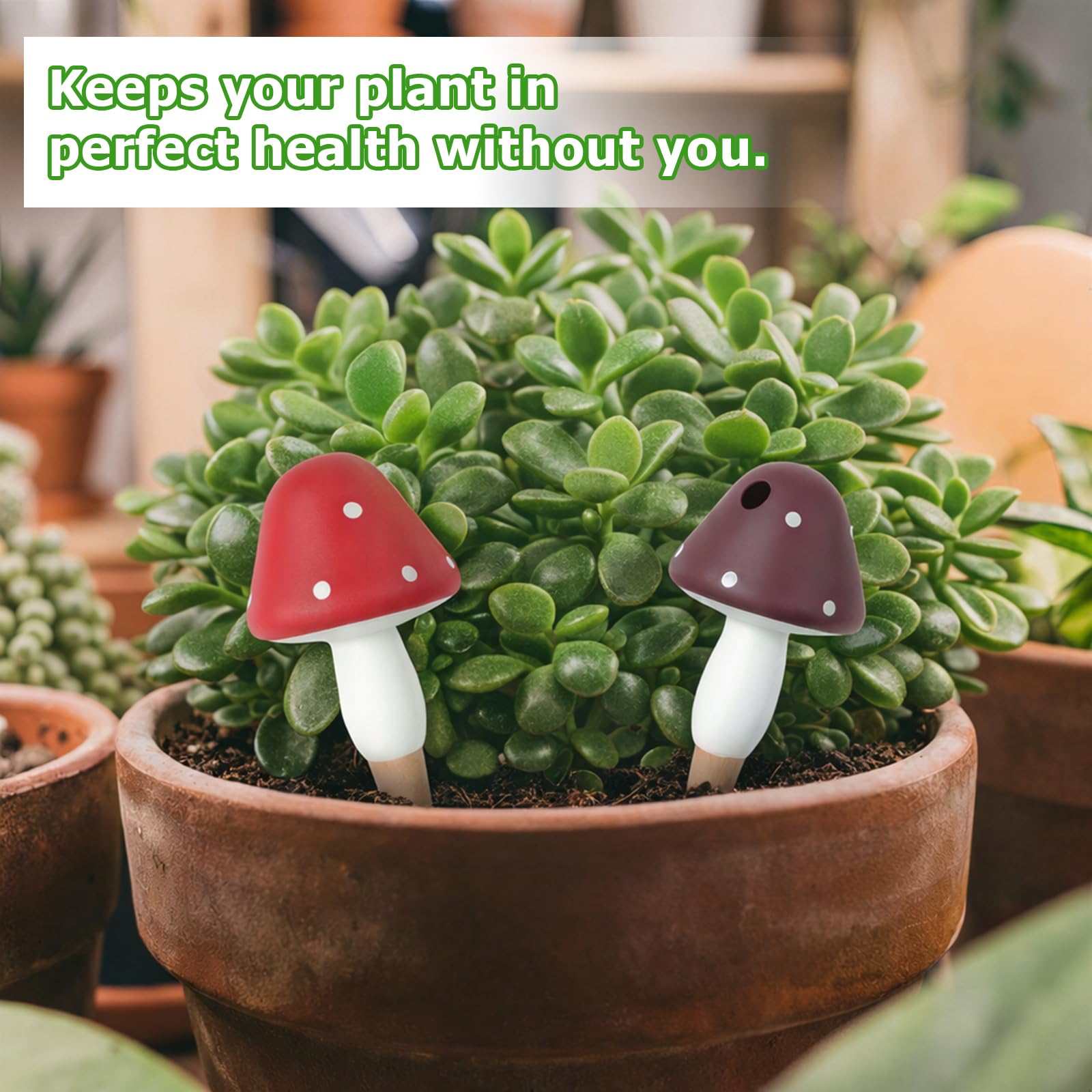 Prashent mushroom cap design close-up highlights decorative and functional irrigation.
