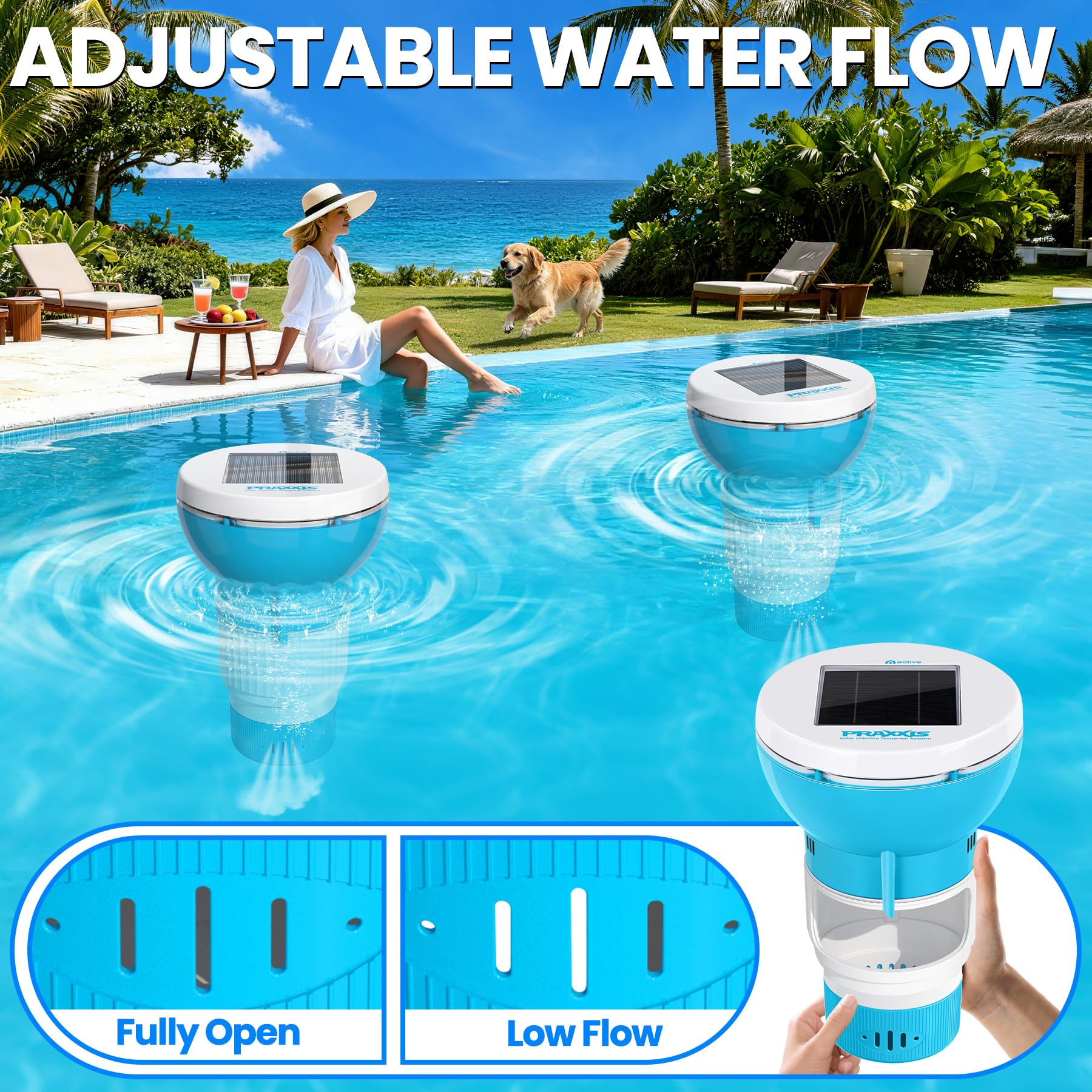 PRAXXIS Heavy-Duty Pool Chlorinator withstands sun and outdoor conditions