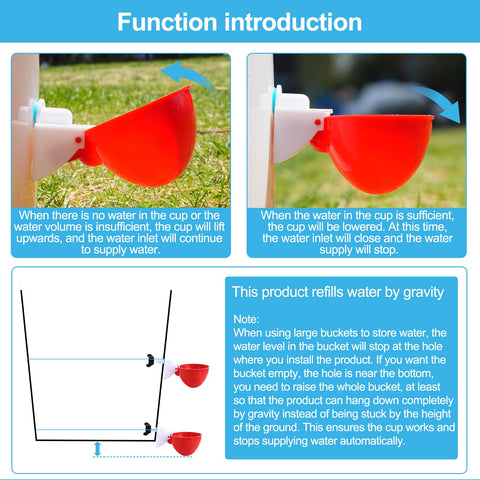 Prdiozyn waterer cups with 3-inch diameter suit poultry.