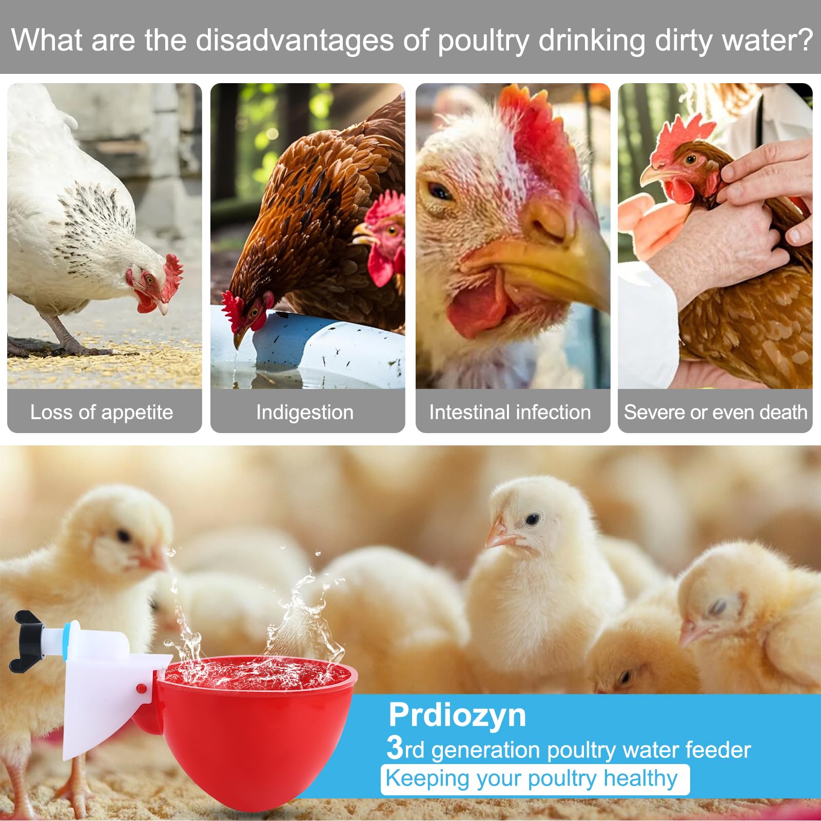 Prdiozyn waterer cups installation uses tungsten carbide opener.