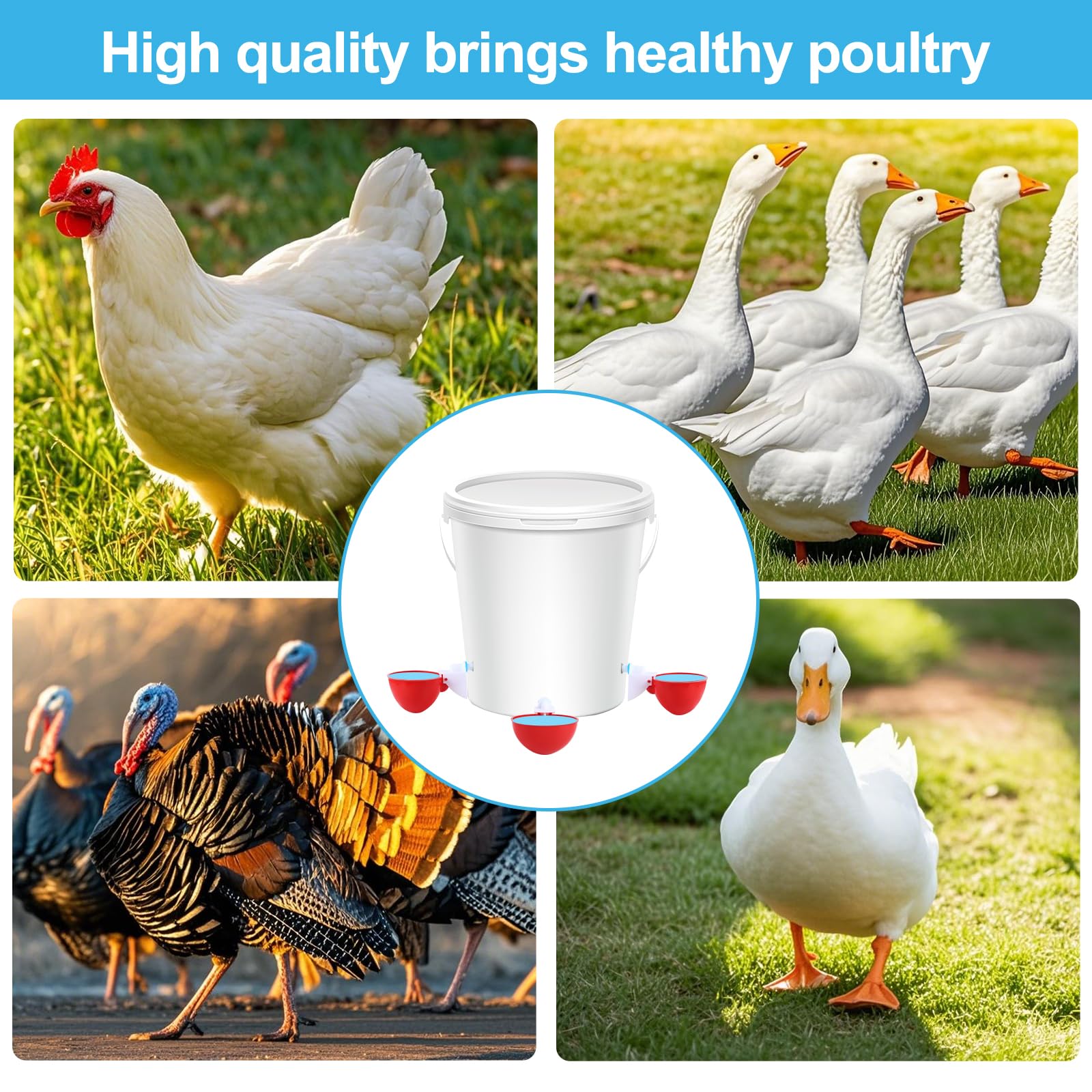 Prdiozyn waterer cups support poultry and small pets.
