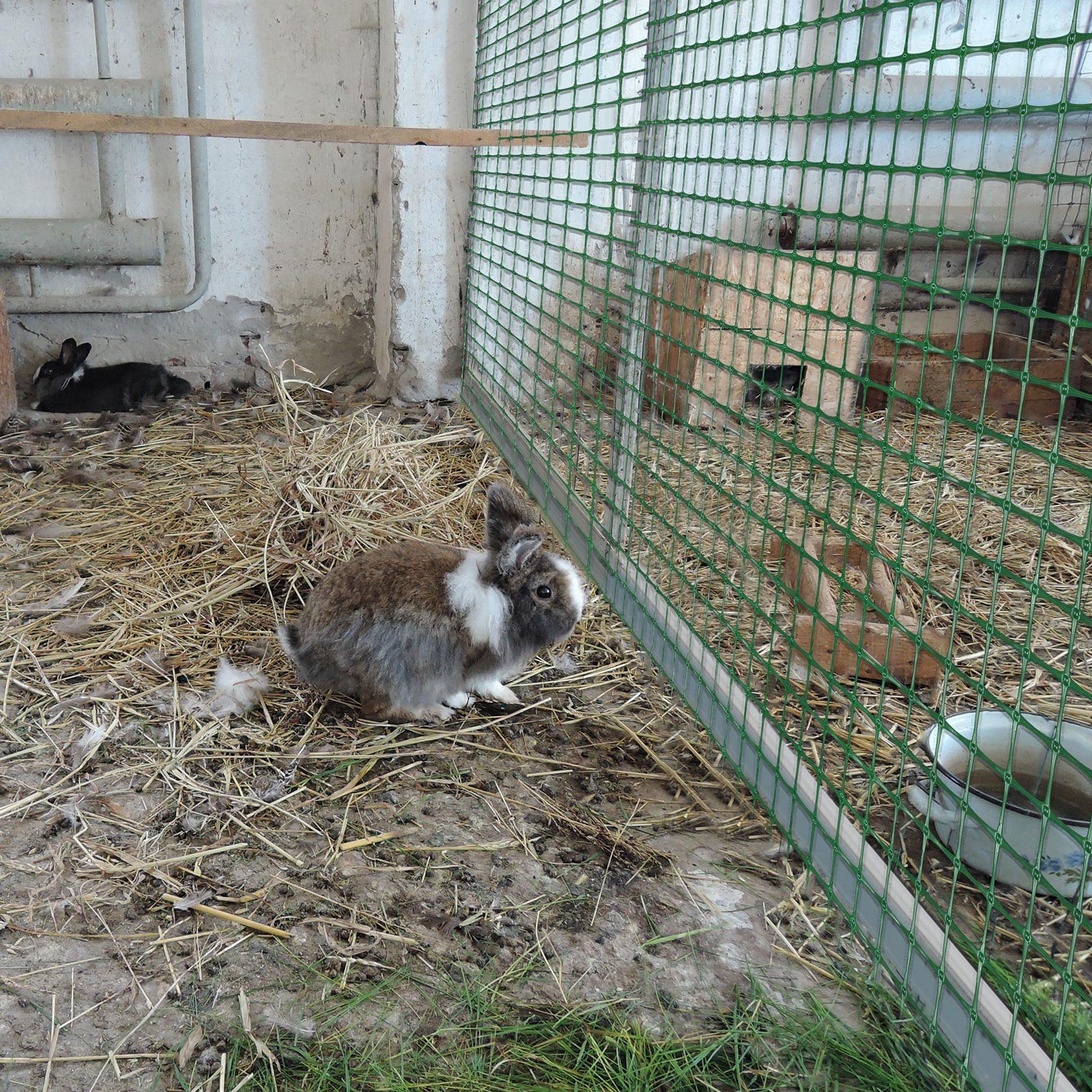 Preboun temporary fencing for poultry and dogs creates flexible activity areas.