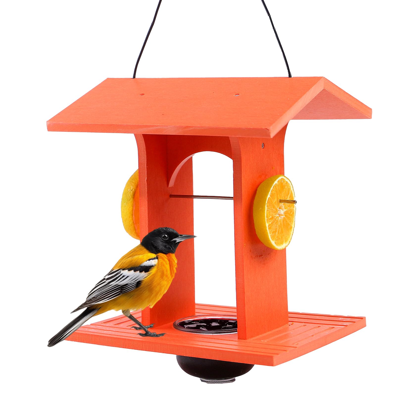 Predimeza Oriole Feeder outdoors hanging with a colorful gift box for holidays