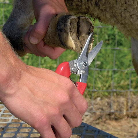 Versatile tool also handles pruning flowers and shrubs