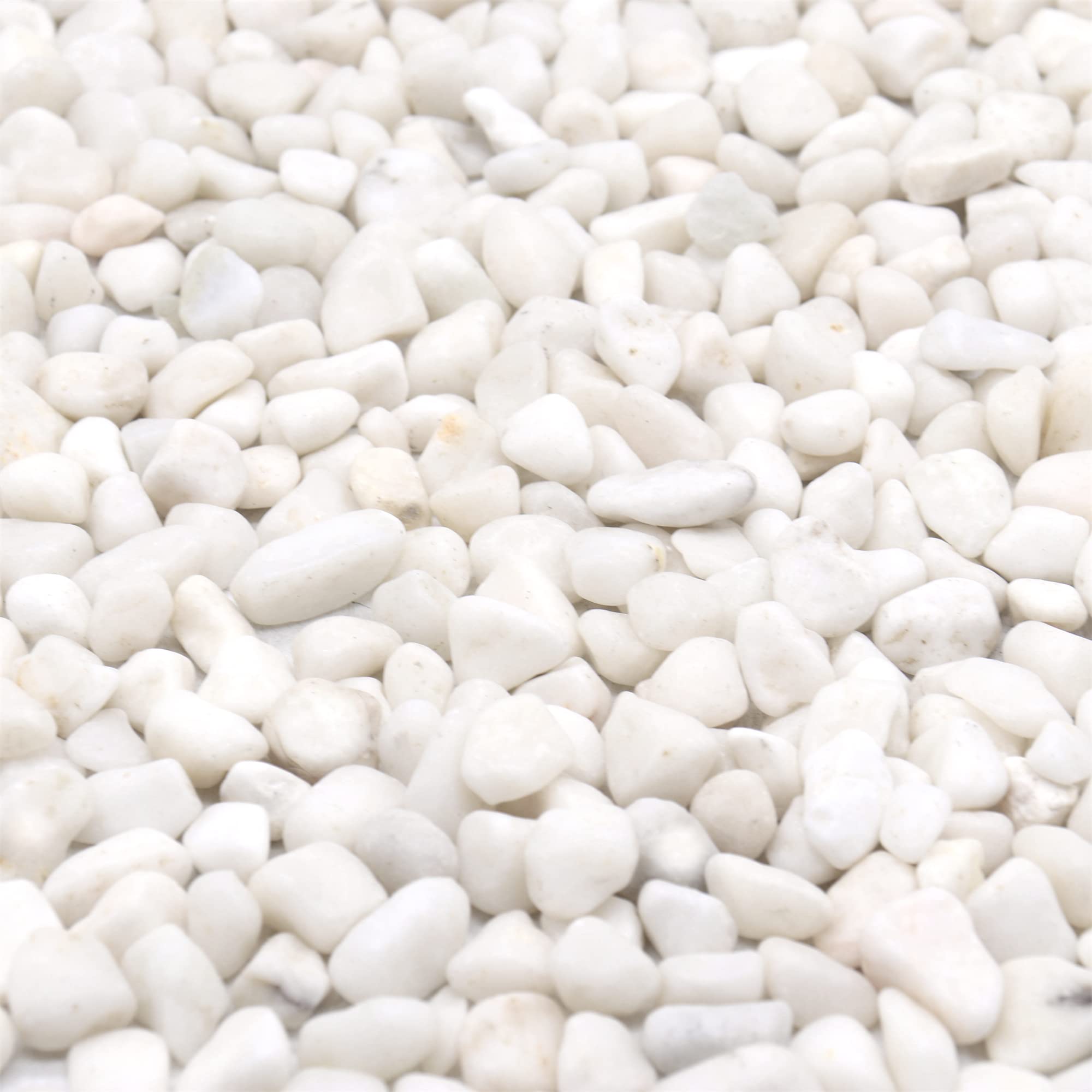 Premium Pebbles White Rocks close-up with a lightly polished finish for elegant plant displays