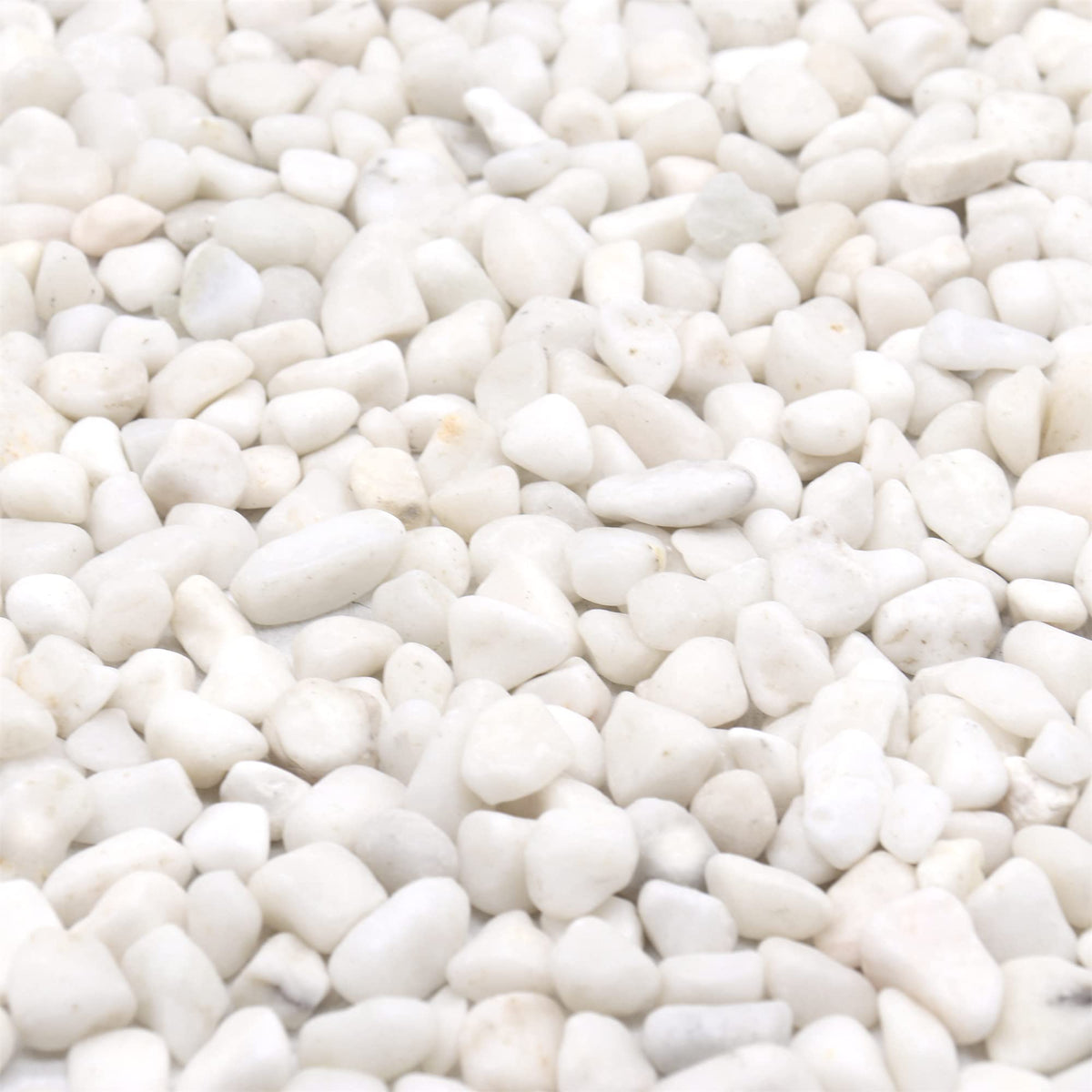 Premium Pebbles White Rocks close-up with a lightly polished finish for elegant plant displays