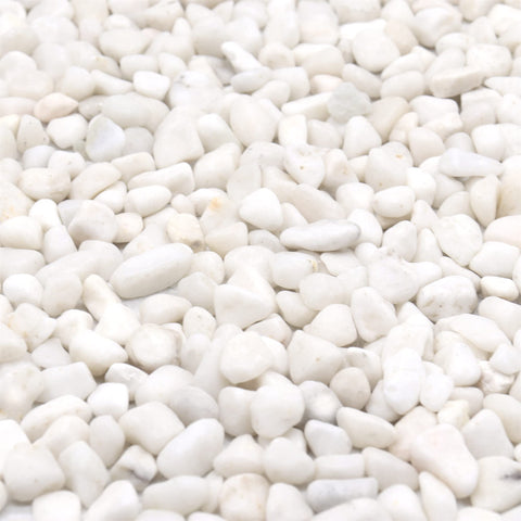 Premium Pebbles White Rocks close-up with a lightly polished finish for elegant plant displays