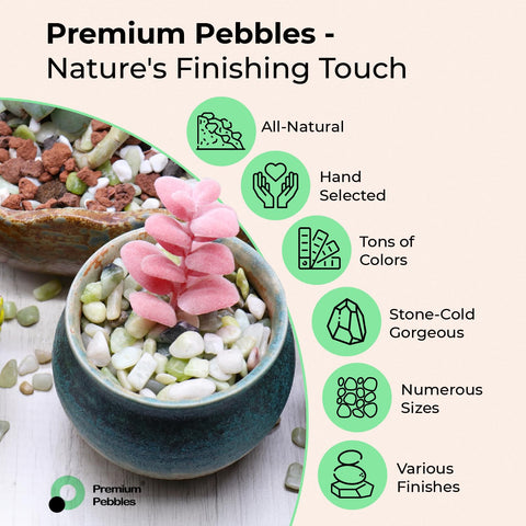 Premium Pebbles White Rocks in a plant pot scene for decorative interior accents