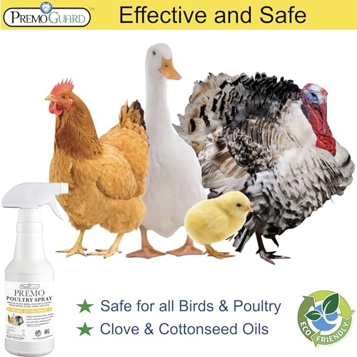 Premo Guard applied on chickens to manage mites and lice naturally.