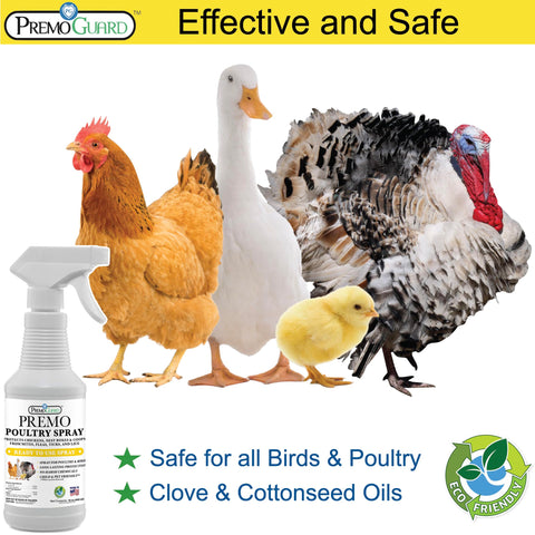 Premo Guard Poultry Spray on chickens delivering quick knockdown of mites and lice