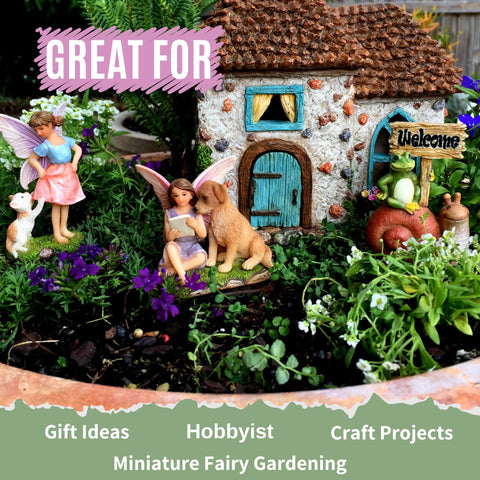 PRETMANNS Fairy Garden with succulents pairing option enhances display.