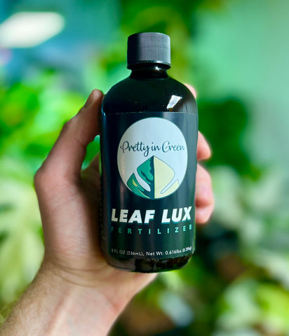 Leaf LUX used in LECA for hydroponic growth with balanced nutrients