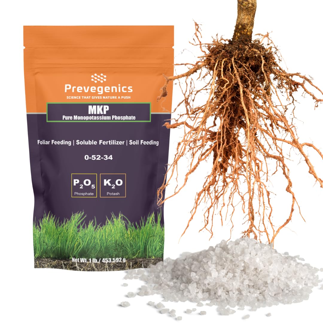 Prevegenics MKP fertilizer bottle shows 0-52-34 formula for strong roots and flowering support