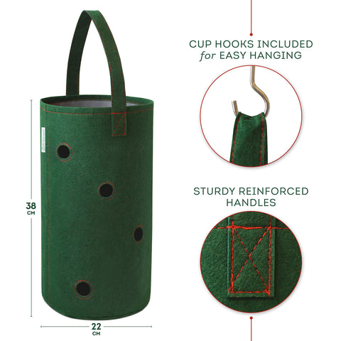 Pri Gardens hanging planter protects roots from overwatering during growth.