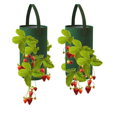 Pri Gardens hanging strawberry planter with 11-hole design for abundant home berries.