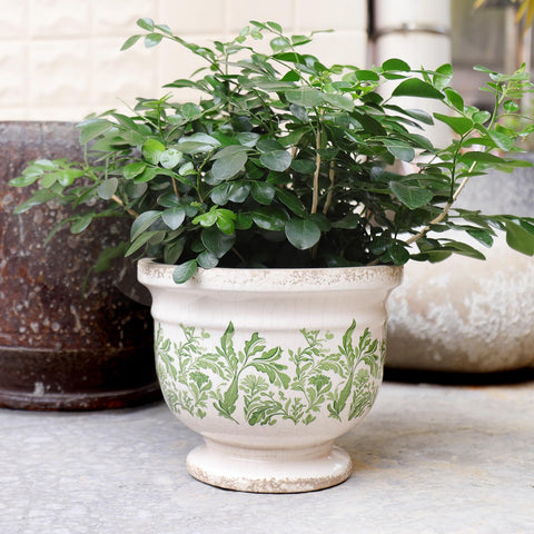 Pricetail green leaf pattern planter brightens desks and windowsills.