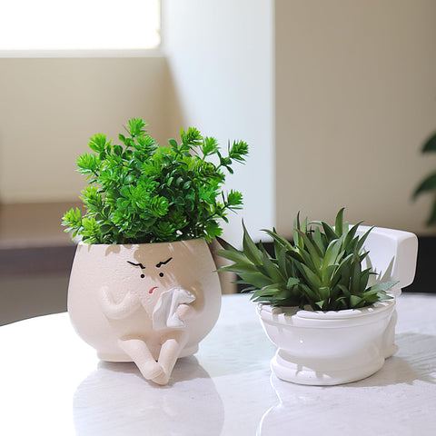 Pricetail quirky bathroom decor planter fits small plants and cacti.