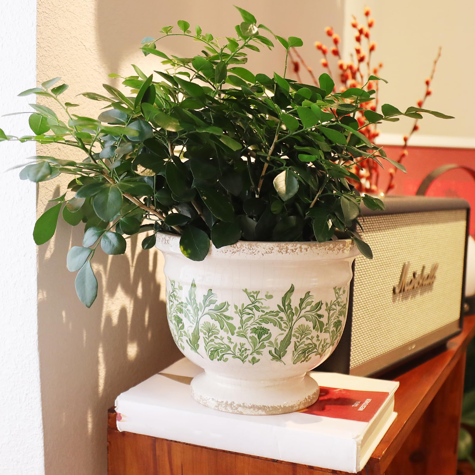 Pricetail planter ideal for succulents, herbs, or small flowers.