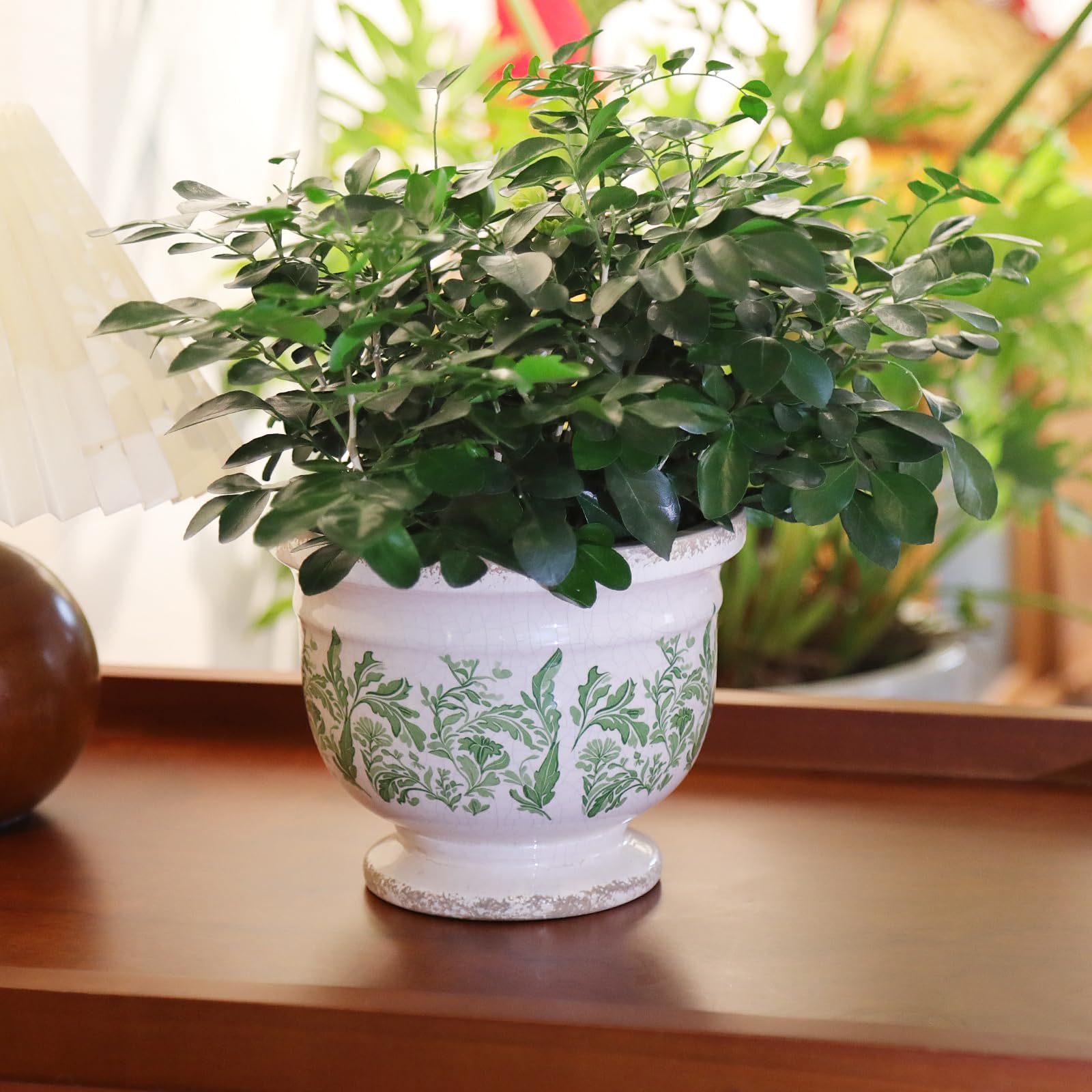 Pricetail windowsill display planter elevates indoor spaces.