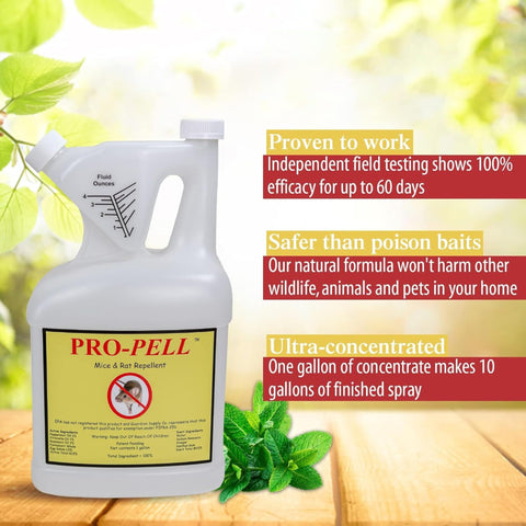 PRO-PELL essential oil blend spray demonstrates natural scent-based deterrence for indoor spaces.