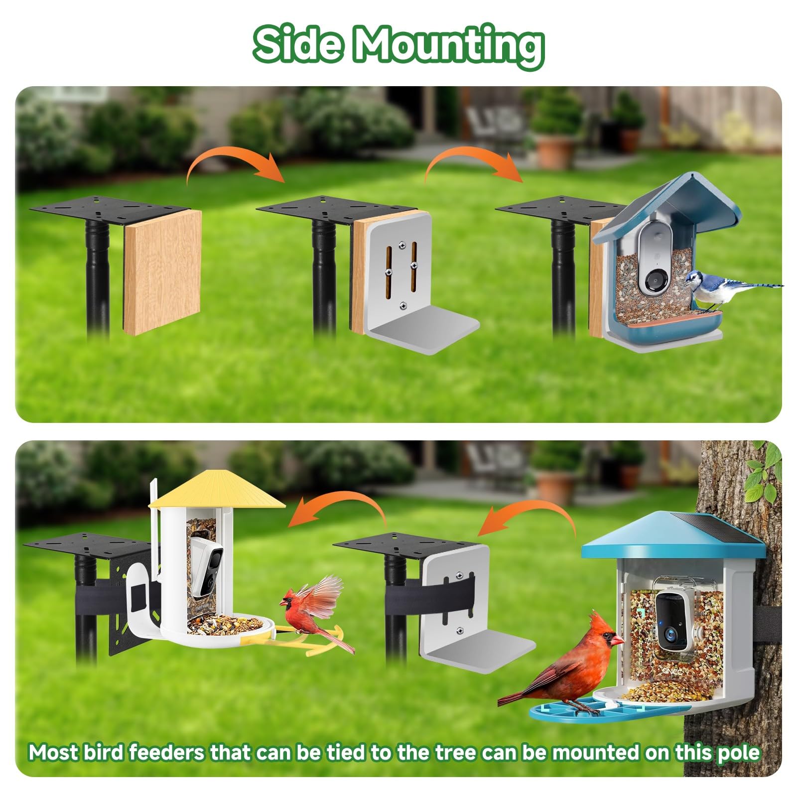 PROERR Adjustable-height pole fits different birds and feeders.