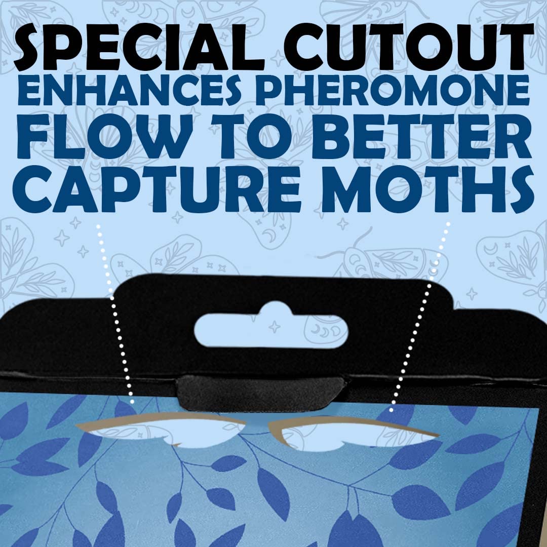 Professor Killamoth air-vents design improves pheromone release for quick moth capture.