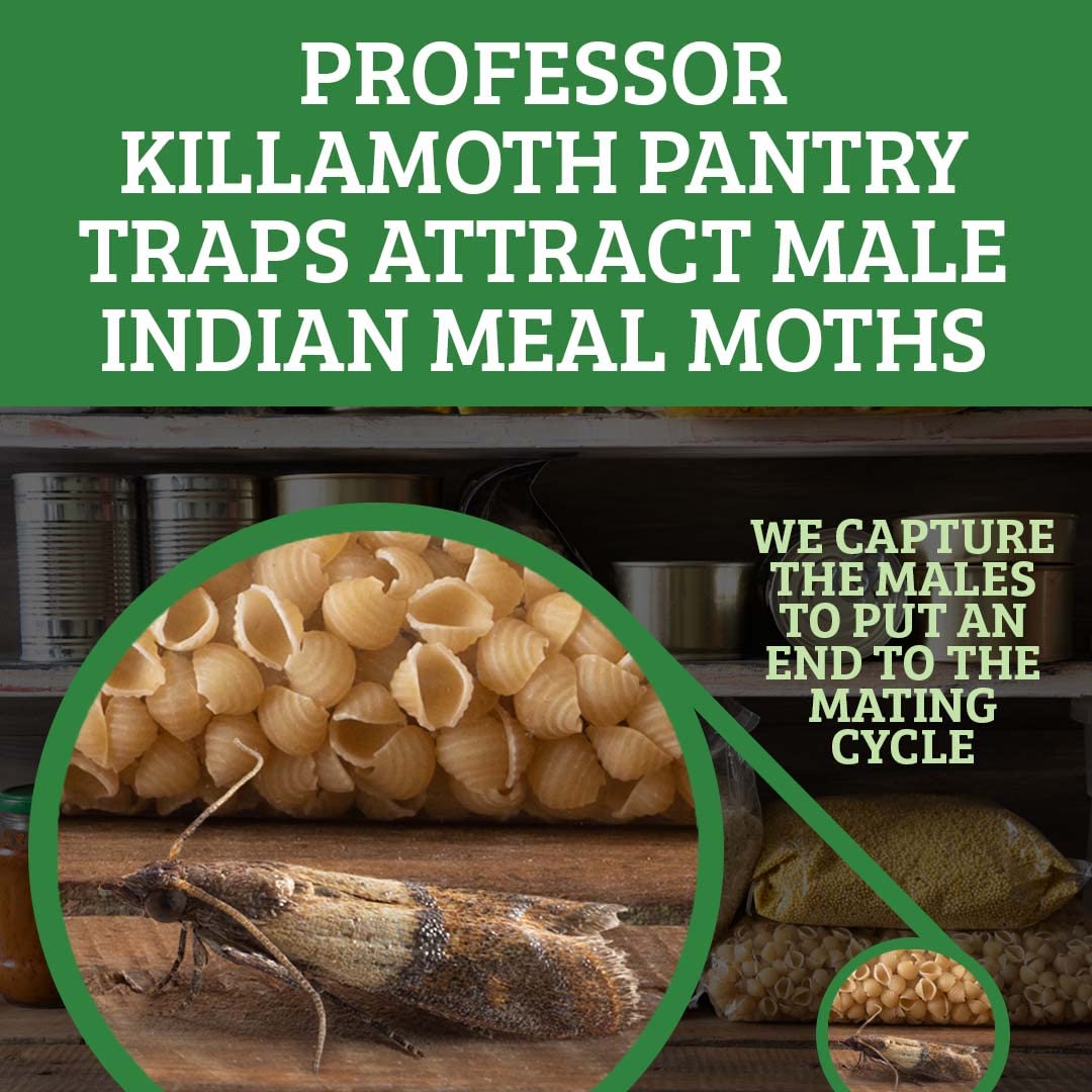 Professor Killamoth close-up pheromone lure shown for effective moth attraction