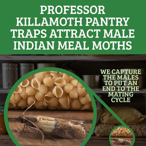 Professor Killamoth close-up pheromone lure shown for effective moth attraction