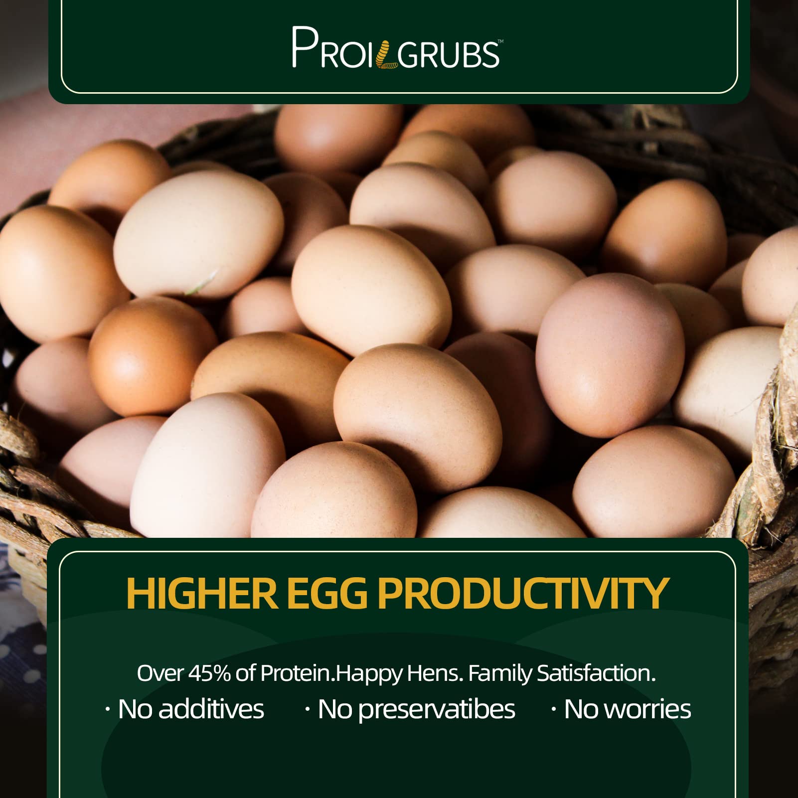 PROILGRUBS chickens enjoying the treat during feeding time.