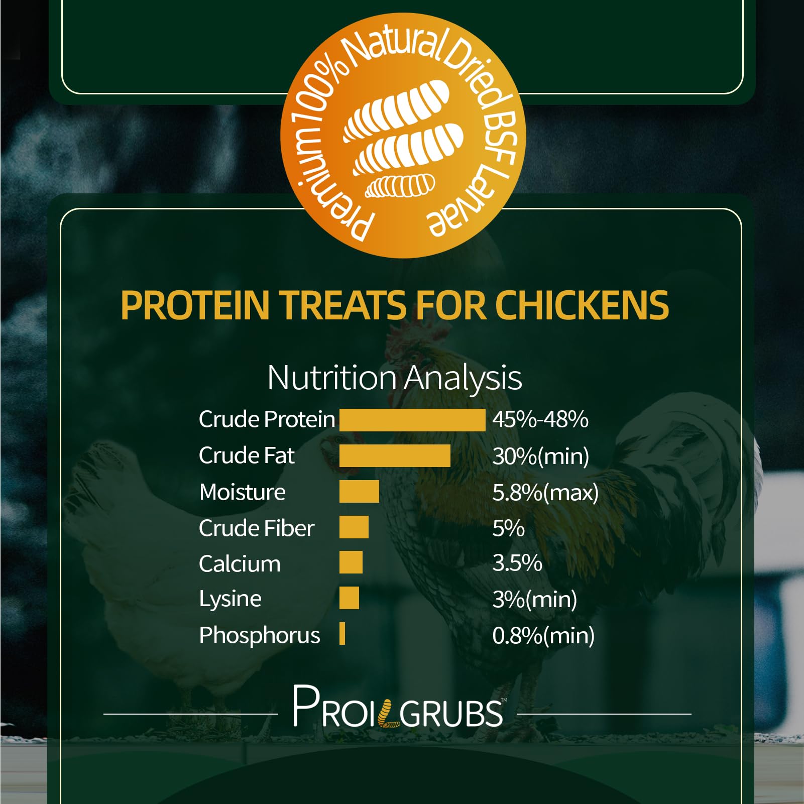 PROILGRUBS dried BSFL larvae close-up, high-protein treat for healthy flocks.