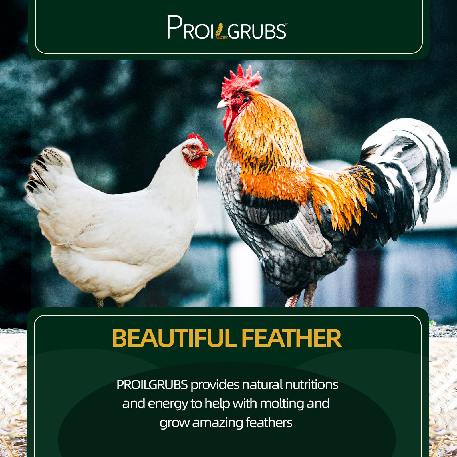 PROILGRUBS nutrition label close-up, protein and minerals at a glance.
