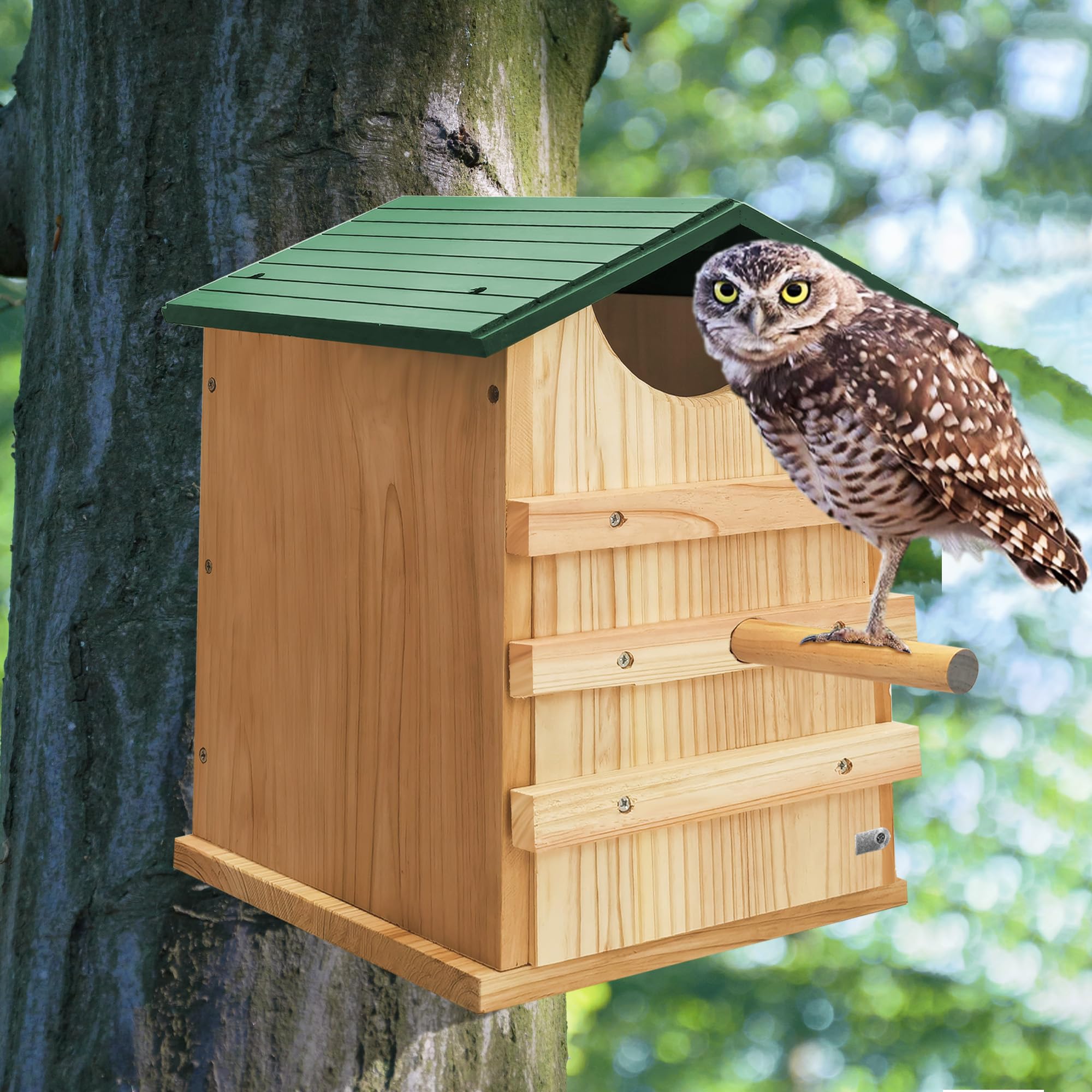 ProLEE Hand made cedar owl box ready for garden or backyard display.