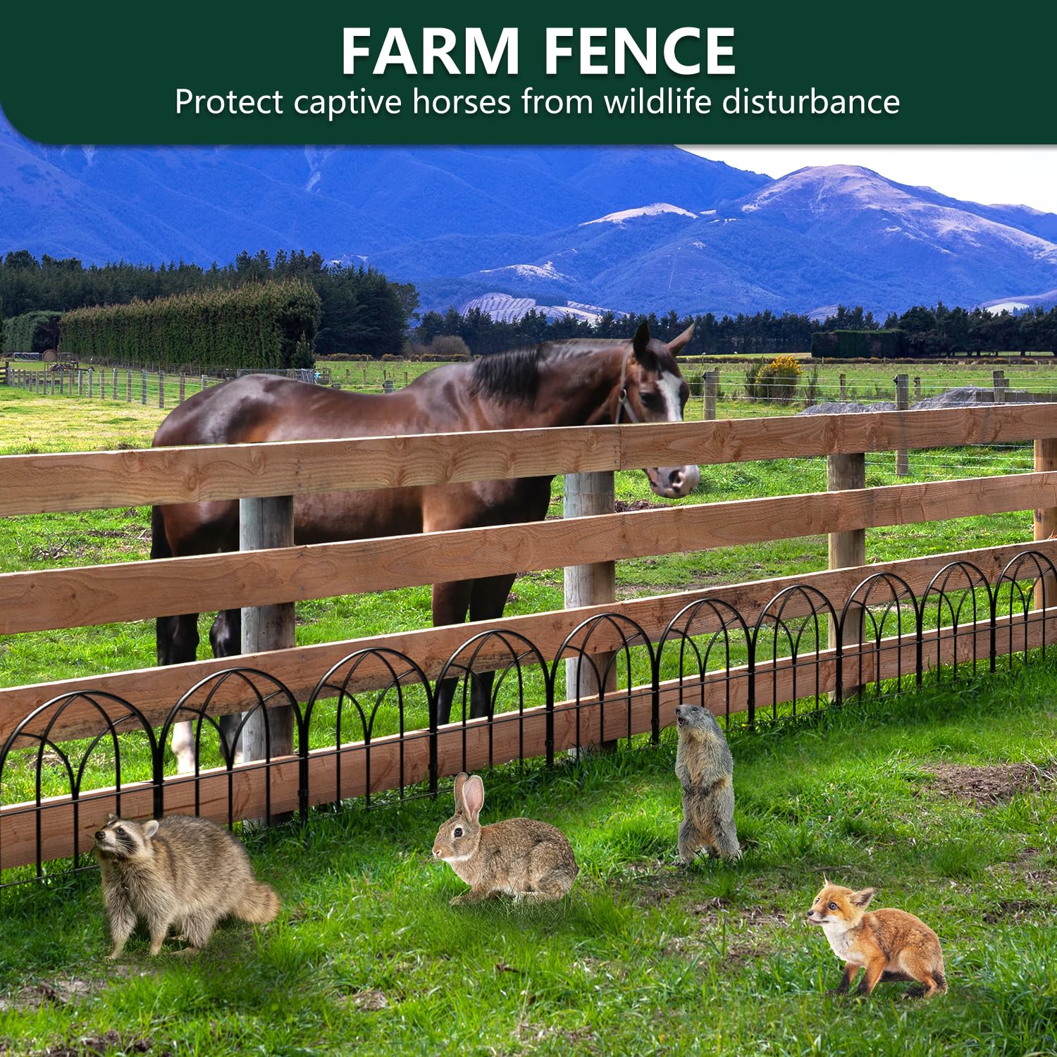 Promitop pet friendly garden boundary protects vegetables and blooms