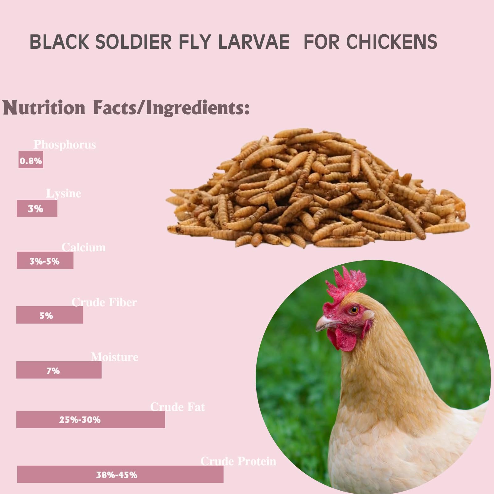 Calcium-rich BSFL improves shell quality in laying hens.