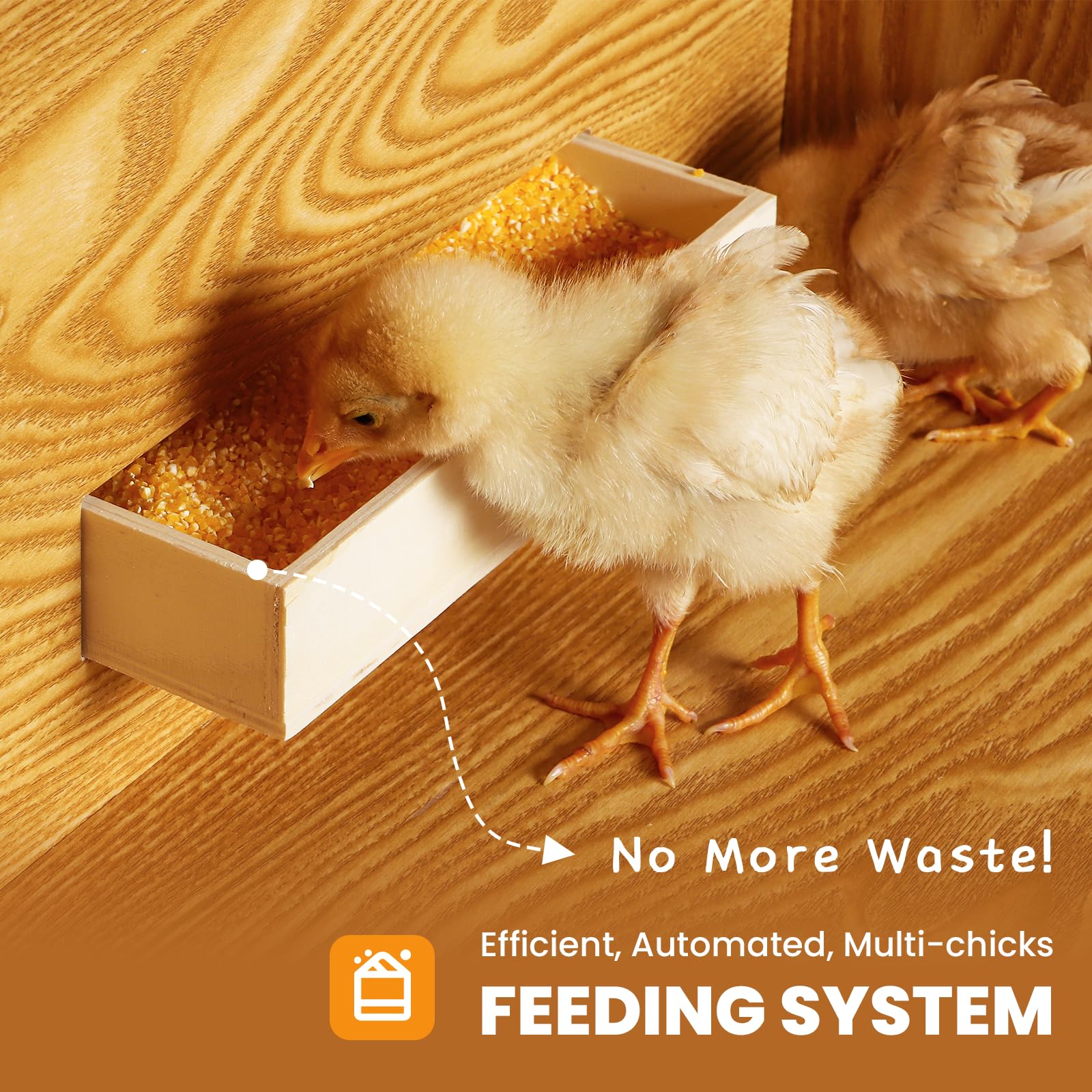 Natural wood construction of the Proshine Brooder emphasizes durable, cozy housing