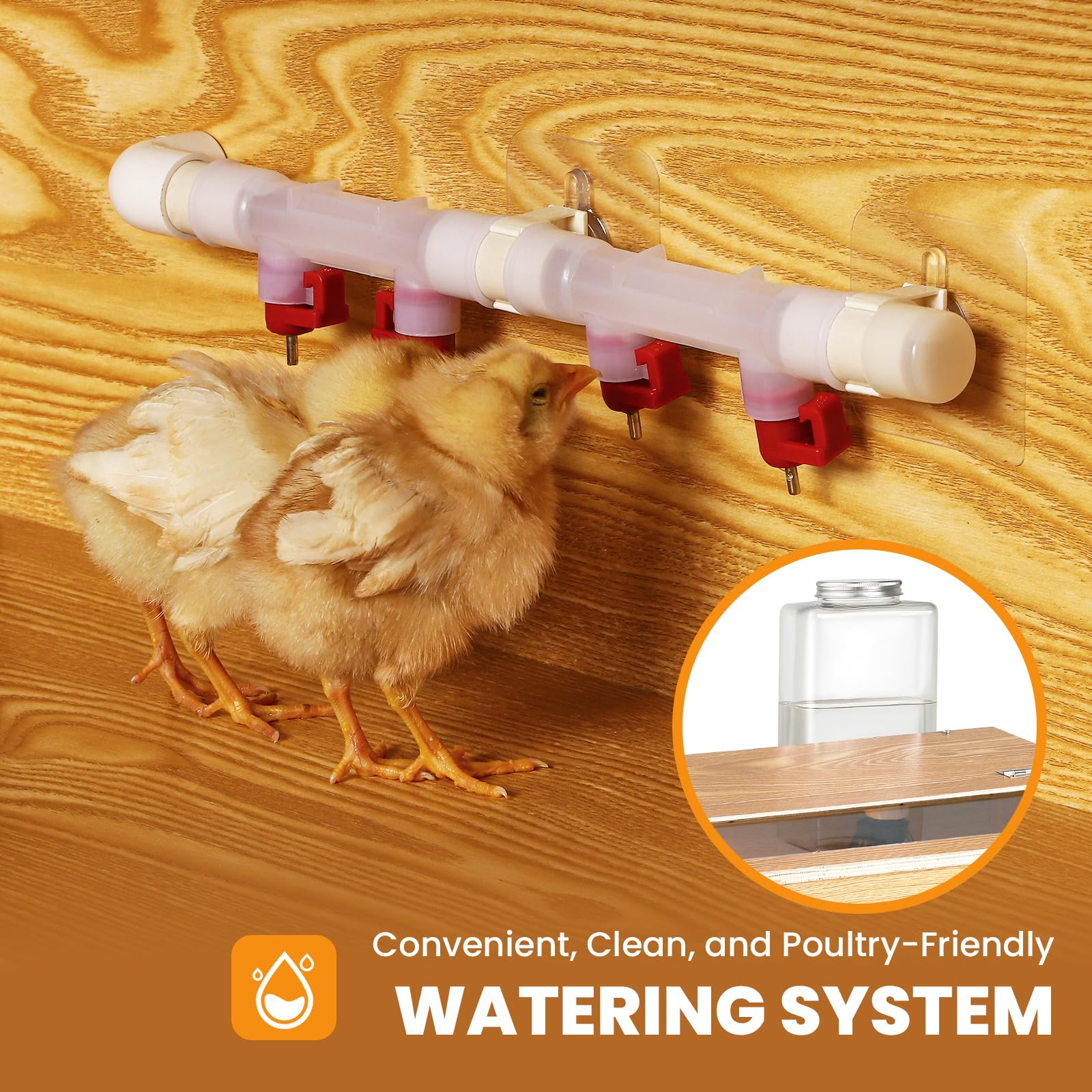 Built-in 1600ml waterer and 2000ml feeder integrated into the Proshine Brooder