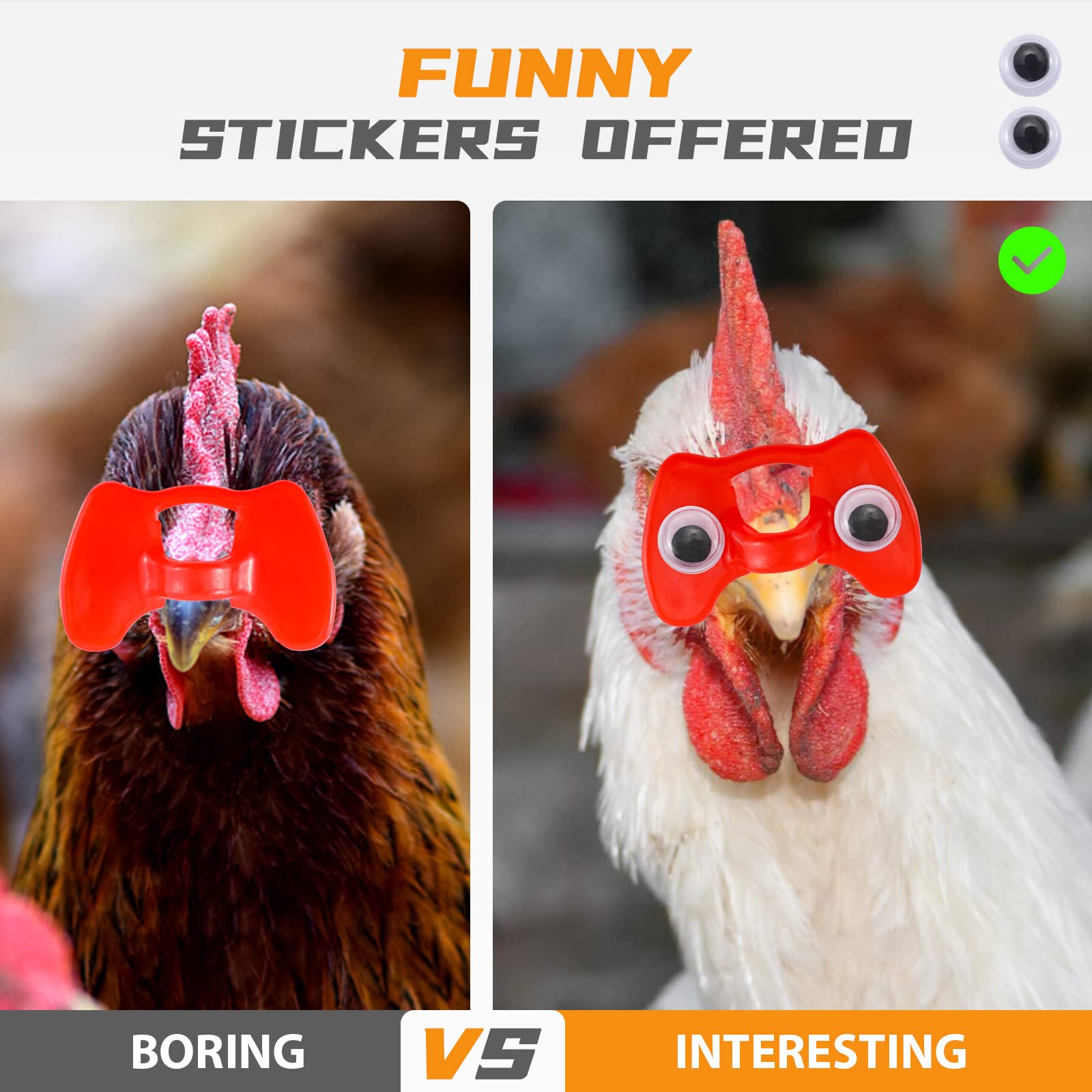Proshine eye stickers 15 pairs add playful decoration for birds