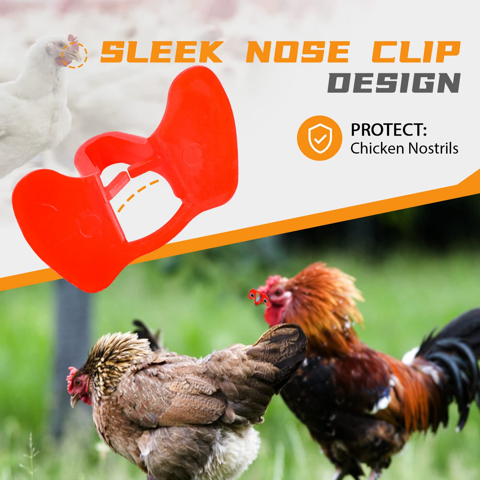 Proshine poultry blinders on a chicken illustrating pecking control