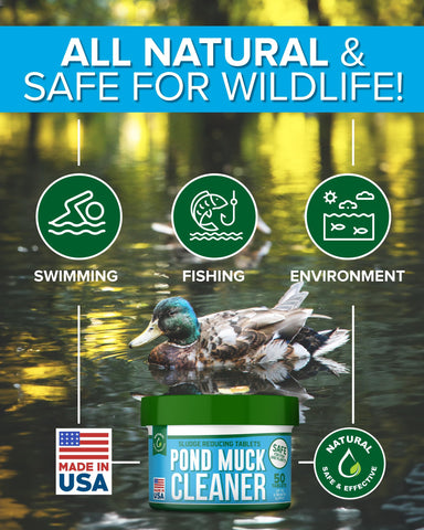 ProSpring Labs Pond Clarity covers up to 1,000 sq ft per scoop.
