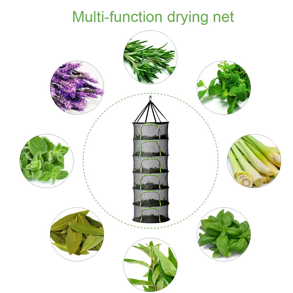 PROTITOUS hanging rack in a grow tent highlights space-saving, natural air drying.