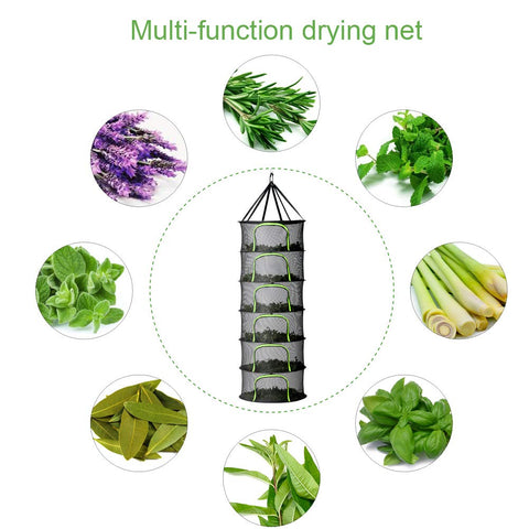 PROTITOUS hanging rack in a grow tent highlights space-saving, natural air drying.
